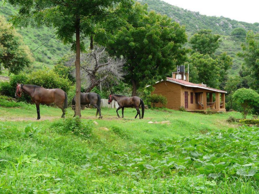 فيلا Krishna Ranch أُودايبور المظهر الخارجي الصورة